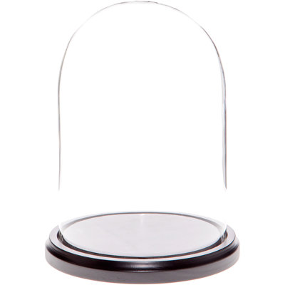 Vucciria 5.5" x 8" Glass Display Dome Cloche