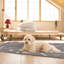 Washable Kittens Reusable Pet Pee Pad-98664268