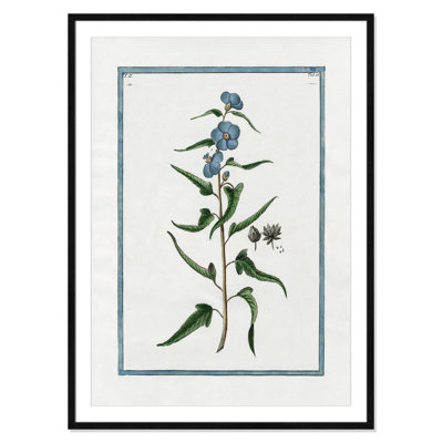 Colombe "Shabby Elegance Botanical I" Print