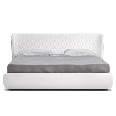 Vegan Leather Metal Wingback Storage Bed
