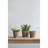 Set Of 3 Thornton Flower Planter/ L:8.3X8.3X6.5"/ M:6.8X6.8X6.1"/ S:5.3X5.3X5.1"