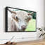 Animal "Vache Highland"-100689170
