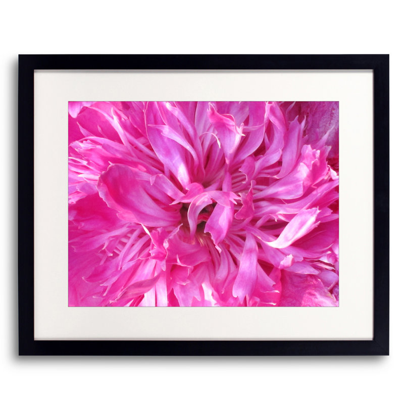 Second Peony Print by Drew Gaffney, Black Framed Paper, 17.25" H x 21.25" W