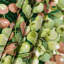 Tapisserie murale Fruit Gooseberry-133645173