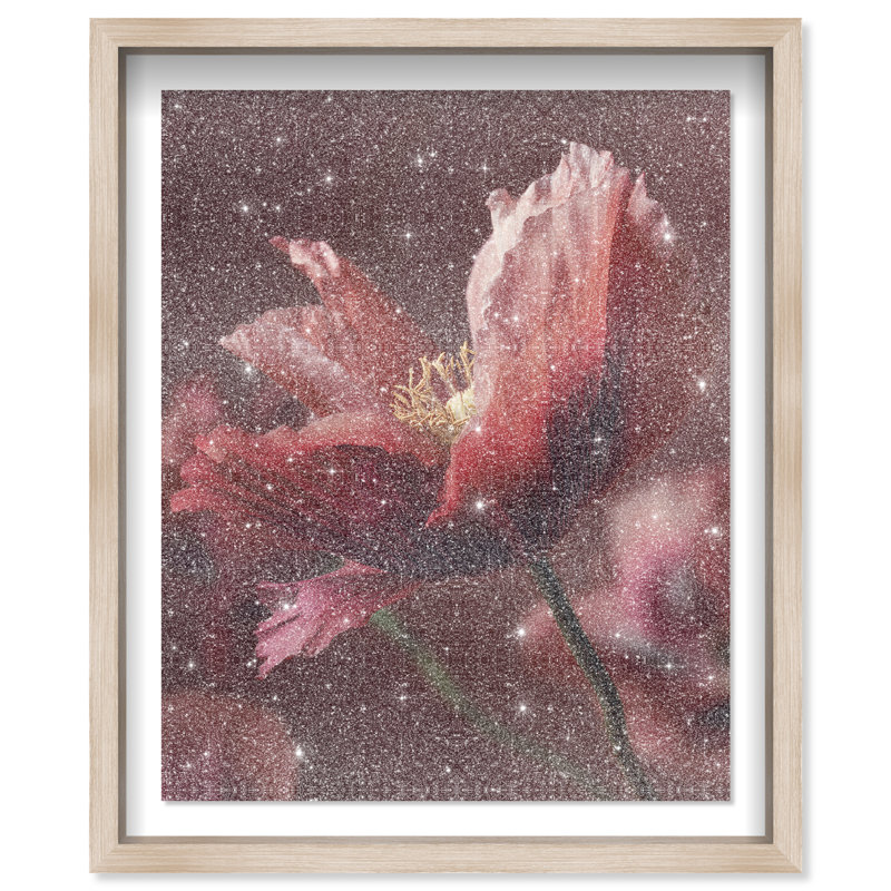 Merlot Blush Blossom II Shadowbox Floral & Botanical Print by Oliver Gal, Black Frame, 16 x 20, 17.5"H x 21.5"W