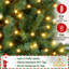 Arbre de Noël épinette Nyle-1629222685-1692793422