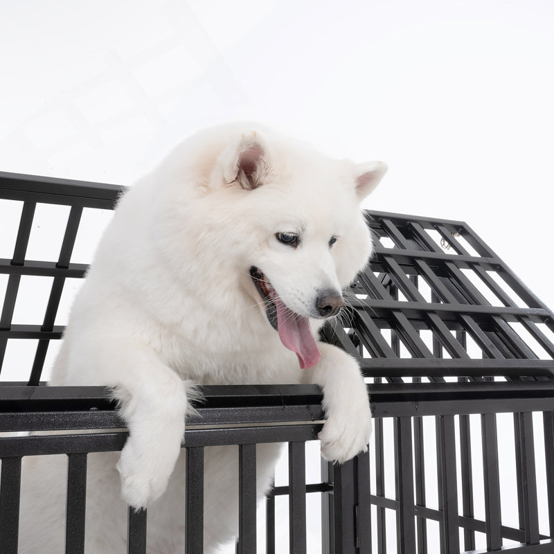 Mobilier de cage pour chien, niche pour chien