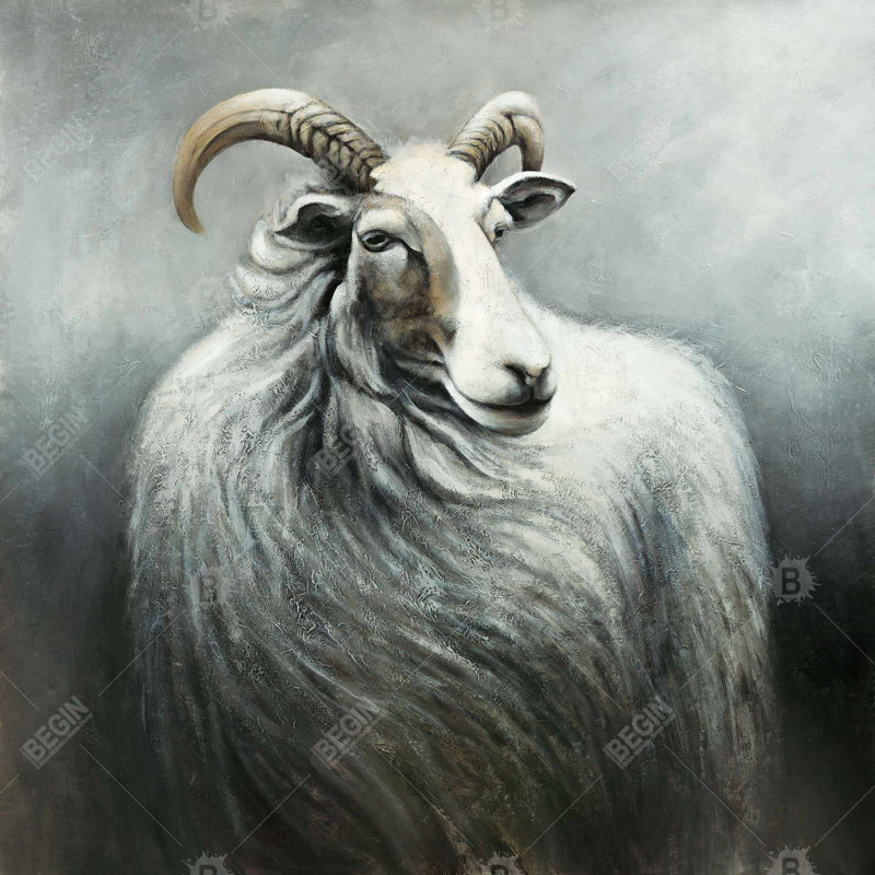 " Cashmere Goat "