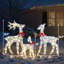 3 pièces de décoration de Noël de famille de renne blanc éclairé en 2 dimensions