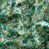 Forest/Kelly/Aqua
