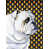 Bouledogue (blanc)