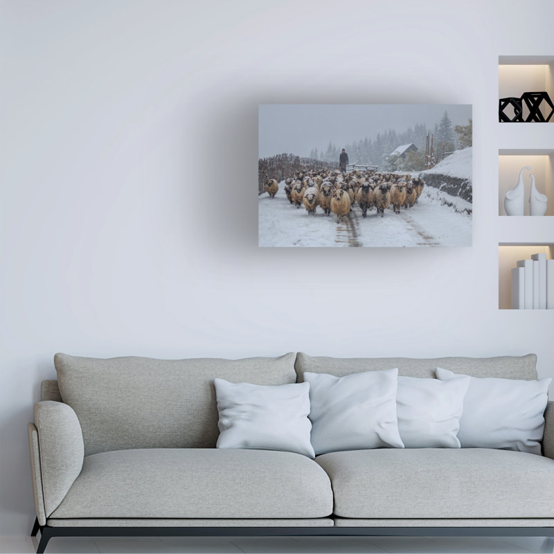 Art sur toile «bolina Marina», berger de Sveduneac, H 16 po x l 24 po