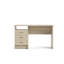 Gouge Computer Desk-38263704