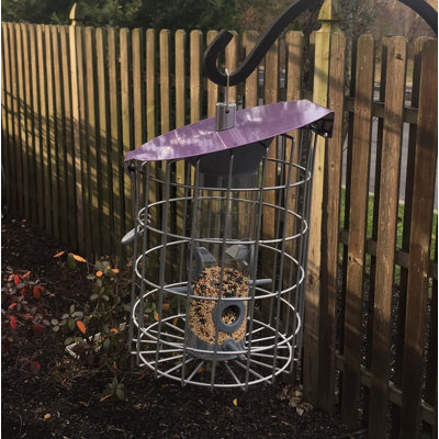 Diellza Rodent Resistant Hanging Hopper Bird Feeder