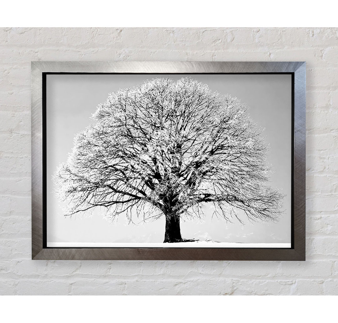 Winter Tree B N W - Einzelner Bilderrahmen Kunstdrucke