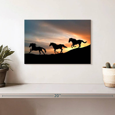 Chevaux sauvages au galop