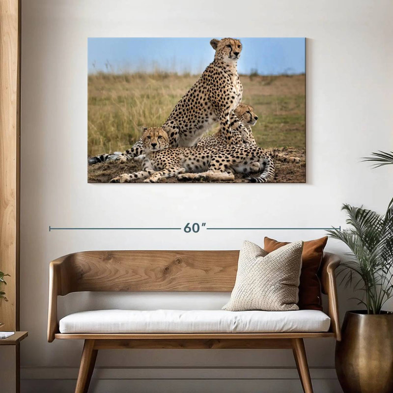 Brampt Wild Cat Coalition, 30" H x 45" W