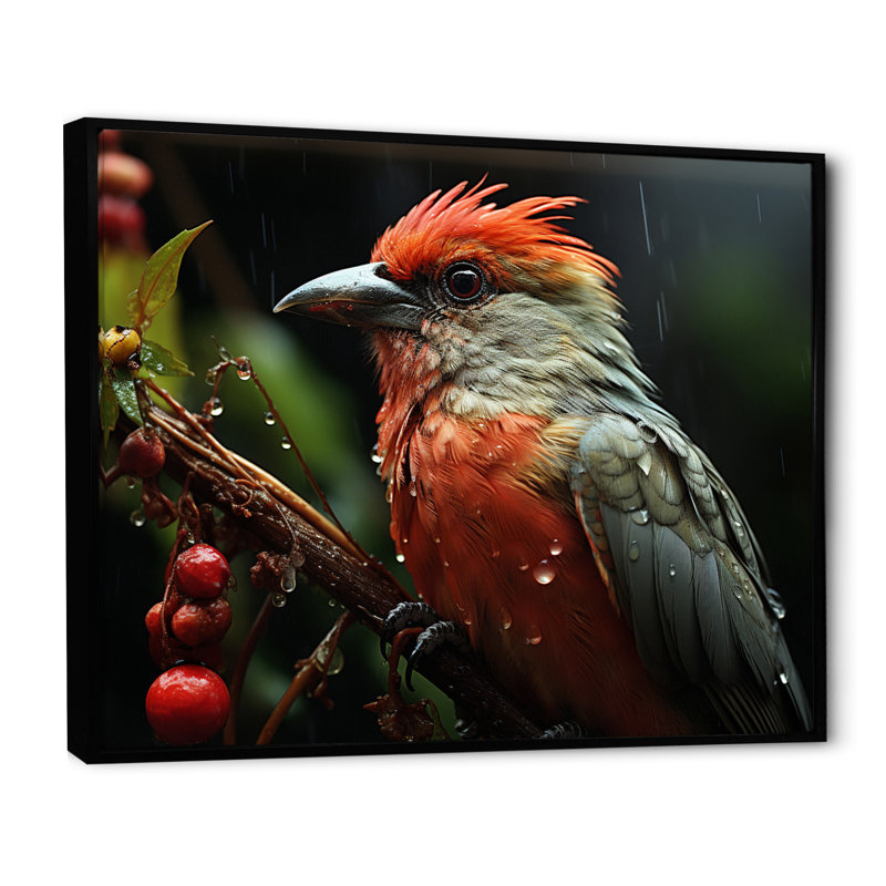 Photographie d'un oiseau tropical orange sur une branche, H 24 po x l 32 po x P 1 po, Cadre flottant noir