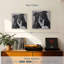 Sheltie de Brampt sur fond gris-109231838