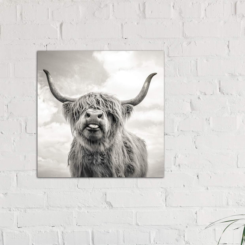 " Funny Girl " by Mark Gemmell, 26" H x 26" W, Wrapped Canvas, No Frame