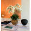 Orchid Floral Arrangement in Planter