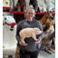 Statue cochon nouveau-né