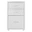 Eulonda 28cm Wide 3 -Drawer Mobile File Cabinet-450835367