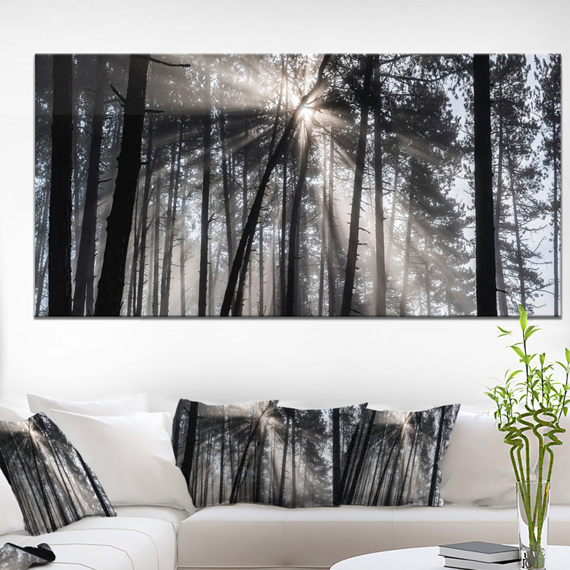 «Sunbeam Through Black White Forest», photographie, H 28 po x l 60 po x P 1,5 po, Toile avec cadre flottant