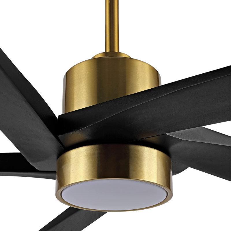 Krishona 54'' Ceiling Fan with LED Lights, Gold with Black Blades