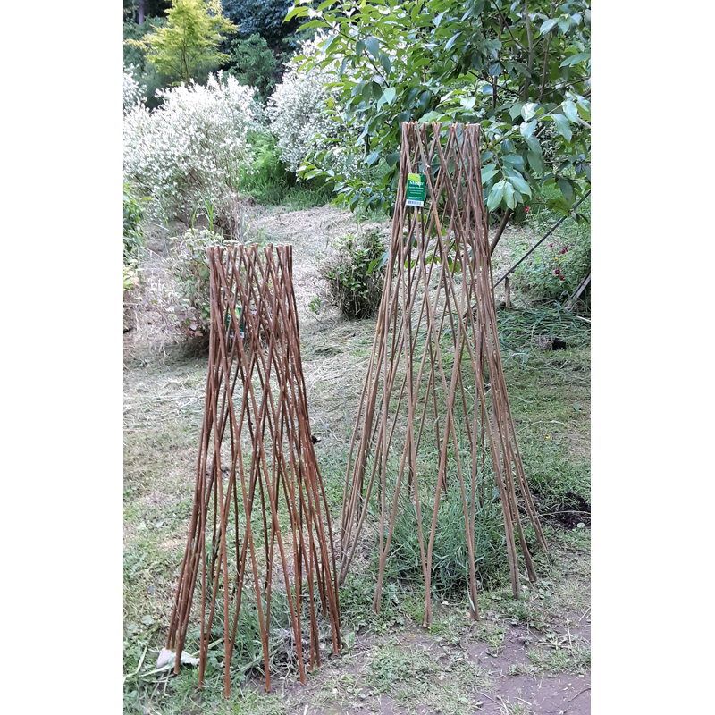 Treillage extensible en bois de saule, Brun clair, H 60 po x l 14 po x P 14 po