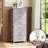 Annyka 6 Drawer Lingerie Chest, White and Light Gray-1334535613