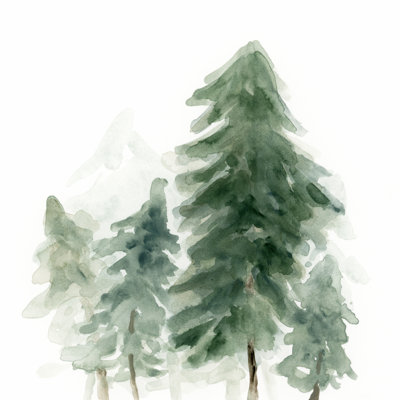 Evergreen Grove II - Wrapped Canvas Painting