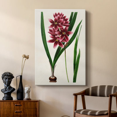 AntiqueFloralFolioV - galerie Cavas sur mesure