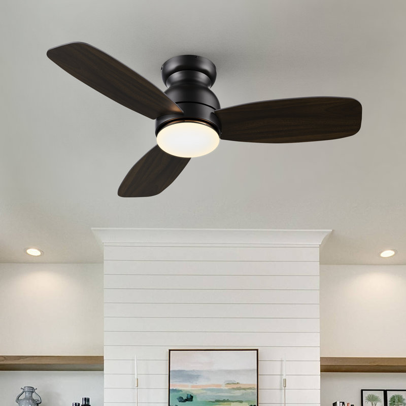 Vant 44'' Ceiling Fan with LED Lights, Black