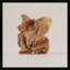 Unpackage 4 Print by Svetlana Smirnova-69227128-68374561