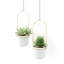 Triple Hanging Planter-1555112120-1555112127