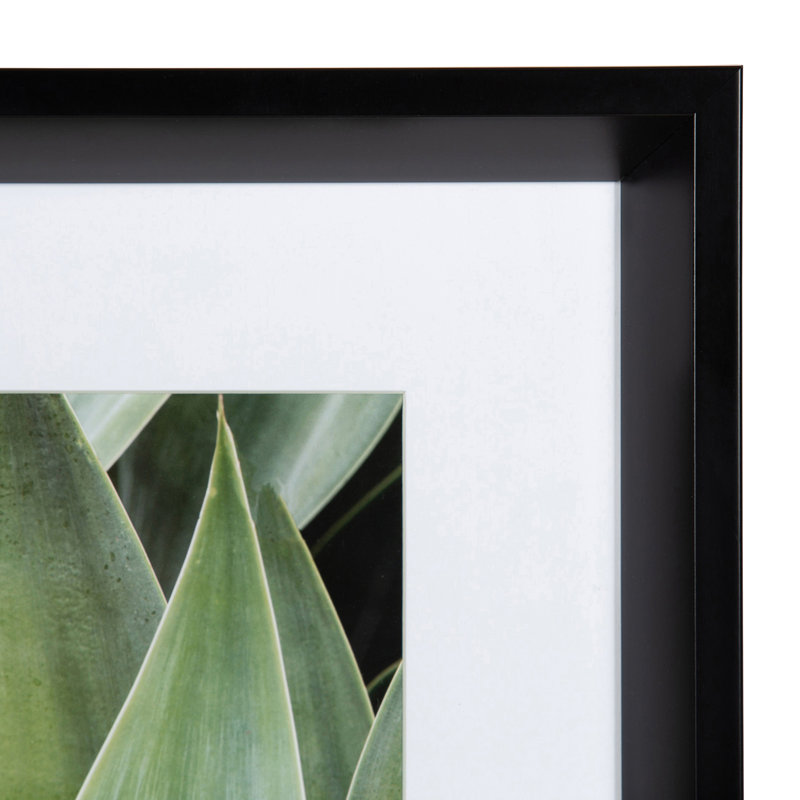 «Karnecia Succulent 14» par Amy Peterson - reproduction de photo sur cadre flottant