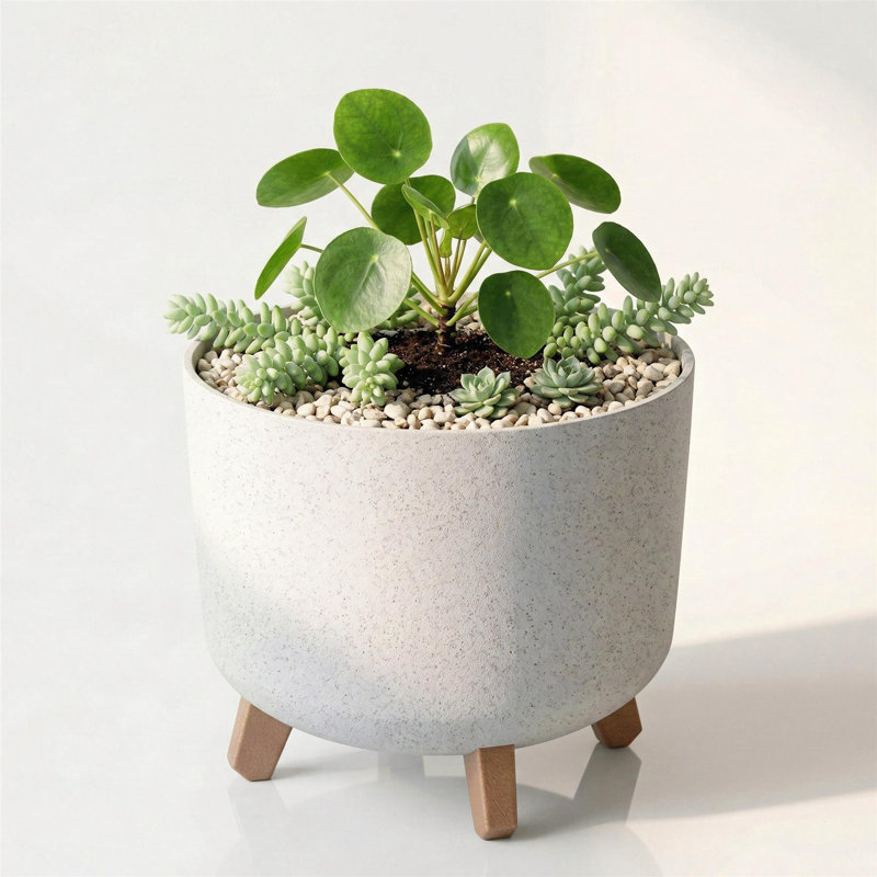 Pot Planter