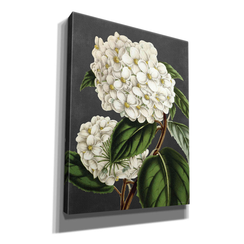 «Hydrangea» par - impression sur toile tendue, H 16 po x l 12 po x P 0,75 po