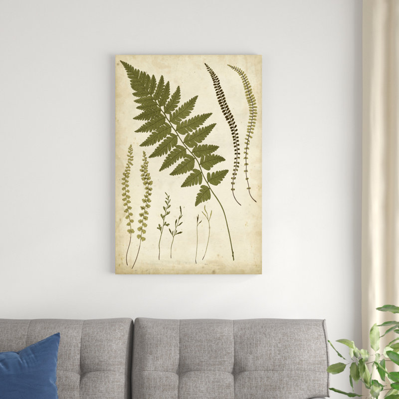 «Fern Portfolio II», peinture sur toile, H 36 po x l 24 po