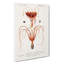 Octopus & Squid by Charles D' Orbigny - Wrapped Canvas Painting-55360608
