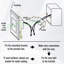 Ensemble de 3 ampoules horizontales à basse tension 12V DEL 4W, sélectionnable 3CCT, IP66, noir
