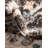 Arends Floral Indoor Rug-606454527