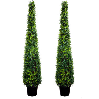 72 " H Faux Cedar Topiary in Resin Pot