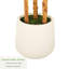 Ficus artificiel en figuier blanc en pot décoratif, plante artificielle réaliste avec bois naturel multi-troncs pour la décoration de bureau personnel-658401131