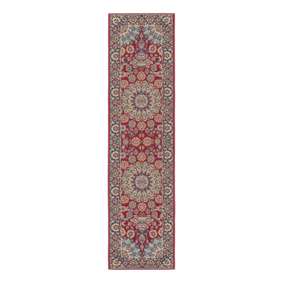 Indoor/Outdoor Traditional Area Rug