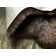 Whisenhunt Performance Faux Sheepskin Washable Indoor Rug