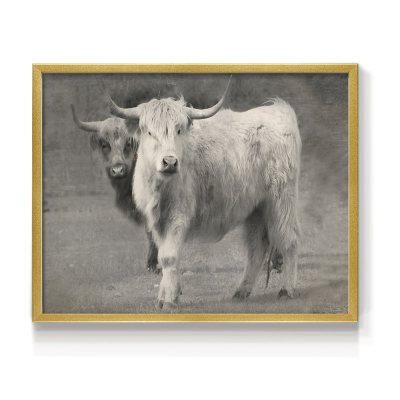 Bouvier Highland - inséparable - reproduction encadrée, H 22 po x l 28 po, Or