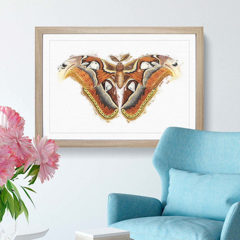 Atlas Moth by George Shaw - Framed Print, Oak Framed, 33cm H x 45cm W x 2cm D