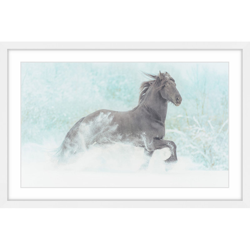 « gambades equus », reproduction d’art encadrée, H 16 po x l 24 po x P 1,5 po